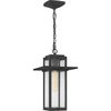 Quoizel Randall Outdoor Hanging Lantern RDL1909MB